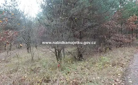 Prodej pozemku 4 566 m², Hradec Králové