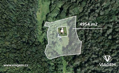 Prodej lesa 4 954 m², Všelibice, okres Liberec