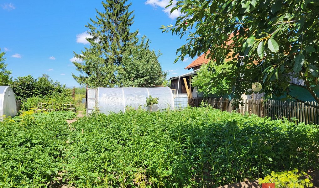 Prodej zahrady 305 m², Postoloprty – náhled fotky 5