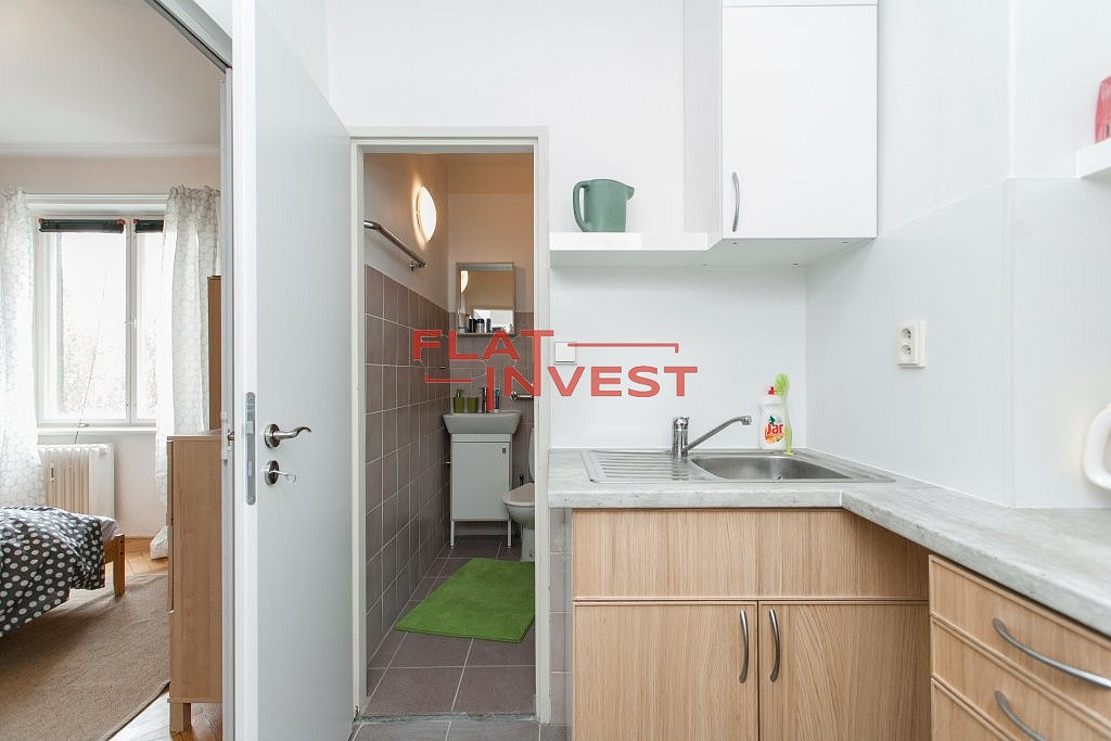 Pronájem bytu 1+kk 25 m² — photo 3