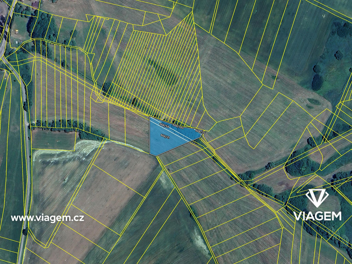 Prodej pole 4 100 m² – fotografie 4