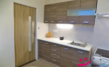 Pronájem bytu 2+1 52 m²