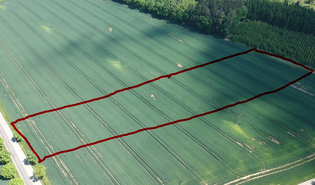 Prodej pole 5 812 m², Zvánovice – náhled fotky 4