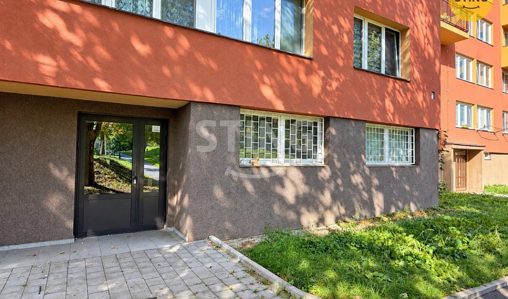 Pronájem skladovacích prostor 55 m², Ostrava – náhled fotky 4