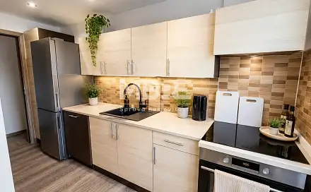 Pronájem bytu 3+1 70 m², Novodvorská, Kravaře, okres Opava
