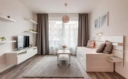 Pronájem bytu 1+1 37 m²
