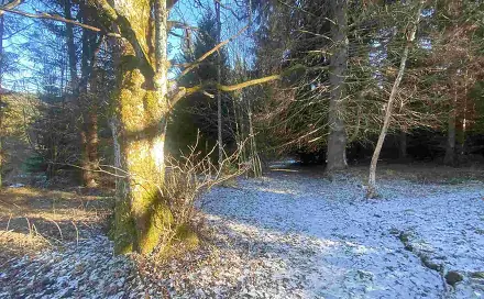 Prodej pozemku 2 391 m², Čachrov - Javorná, okres Klatovy
