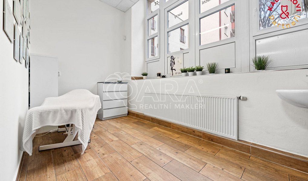Prodej obchodních prostor 326 m², Brno – náhled fotky 9