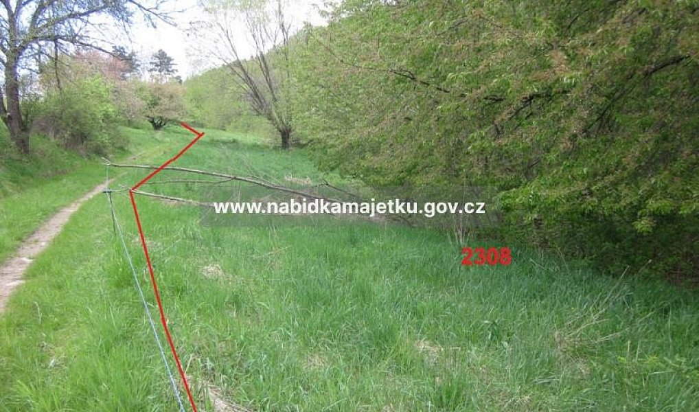 Prodej pozemku 3 201 m², Vír – náhled fotky 2