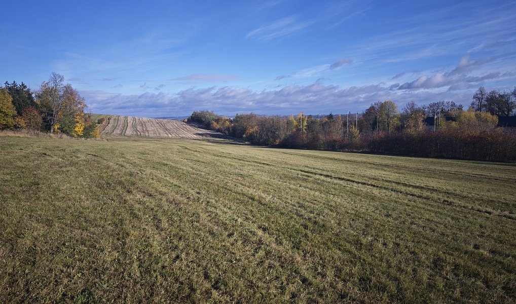 Prodej komerčního pozemku 24 491 m², Stařeč – náhled fotky 10