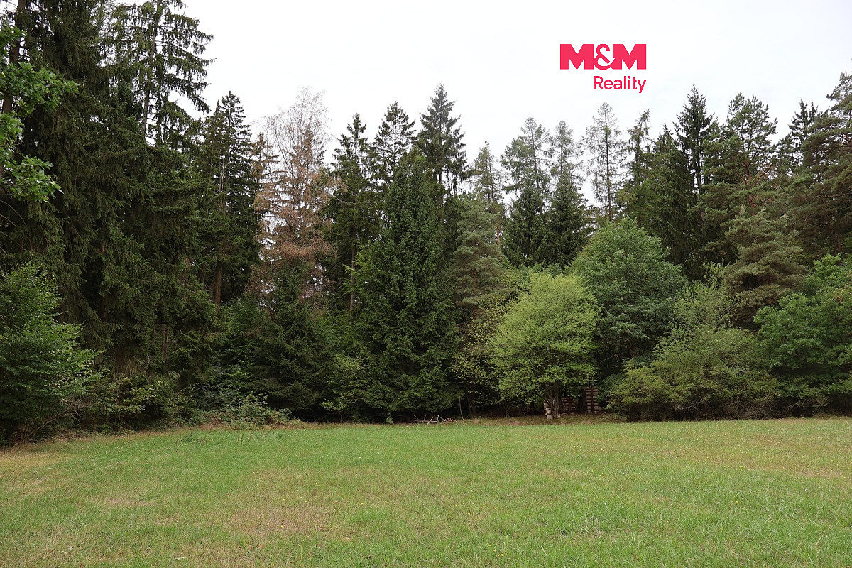 Prodej lesa 1 762 m²