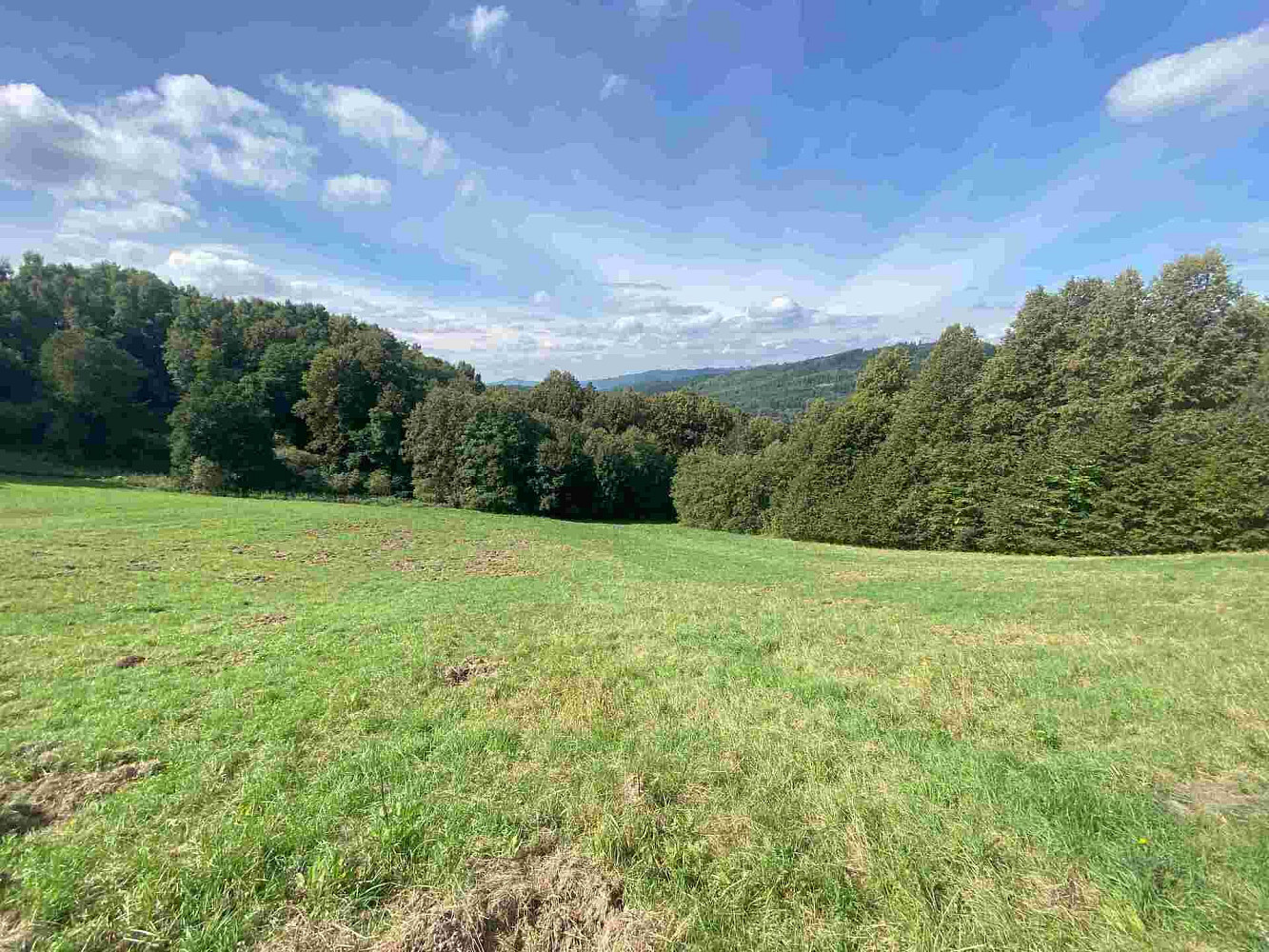 Prodej pozemku 10 593 m²
