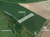 Prodej lesa 974m2