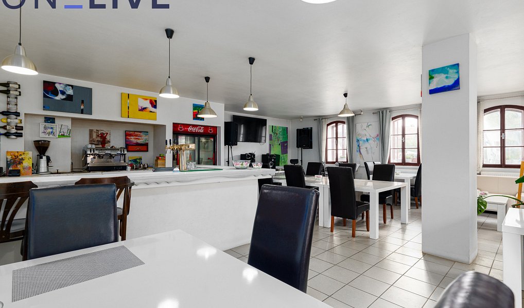 Prodej ubytovacího objektu 480 m², Starý Plzenec – náhled fotky 3