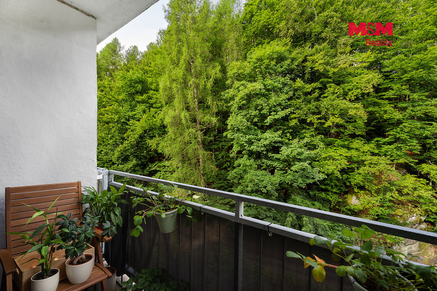 Prodej bytu 2+1 55 m² – fotografie 5