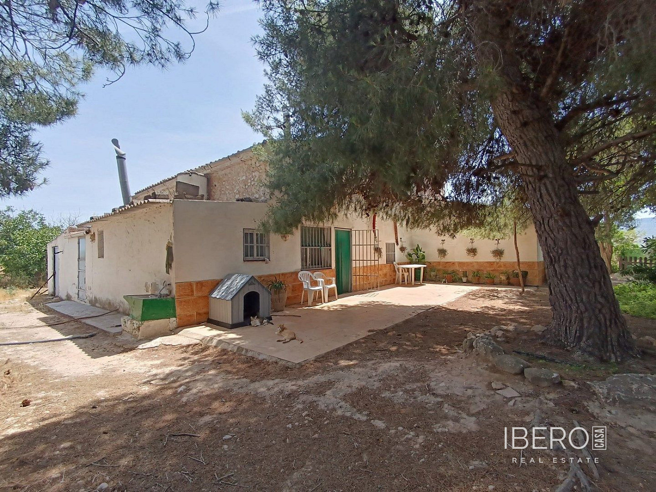 Casa 6+kk – Yecla, Altiplano - Vista 4