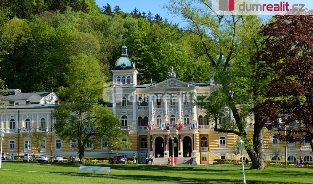 Pronájem bytu 1+kk 35 m², Mariánské Lázně – náhled fotky 10