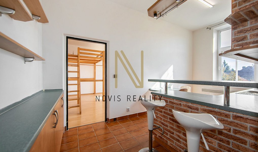 Pronájem bytu 1+1 43 m², Plzeň – náhled fotky 5