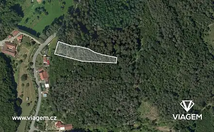 Prodej lesa 2 436 m², Letovice, okres Blansko