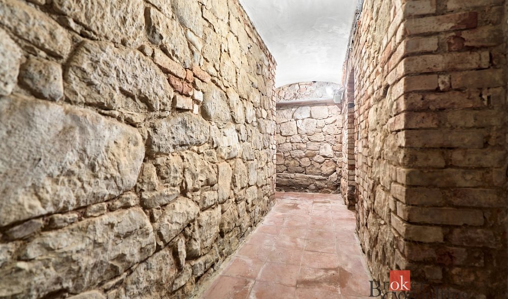 Prodej domu 361 m² s pozemkem 4 015 m², Nejdek – náhled fotky 26