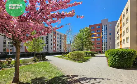 Prodej bytu 1+1 42 m², Truhlářská, Písek - Budějovické Předměstí