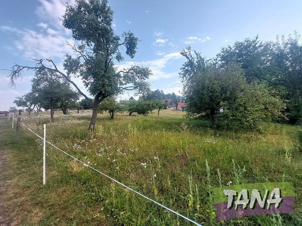 Fotka 2 z 5