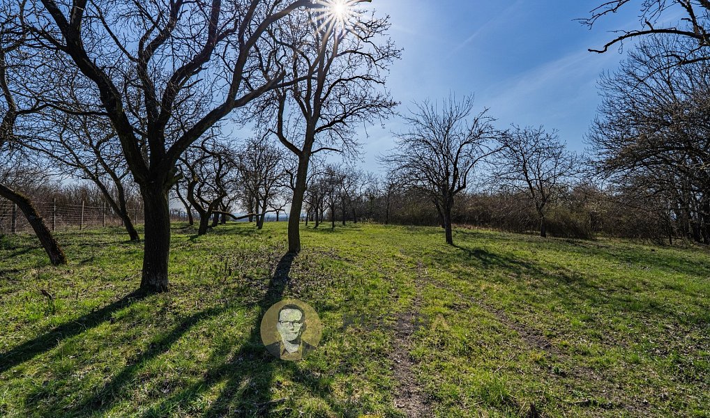 Prodej stavebního pozemku 3 158 m², Střemy – náhled fotky 6