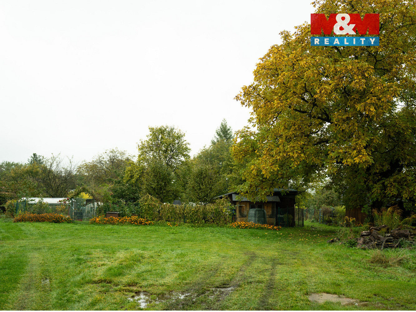 Prodej stavebního pozemku 10 656 m² – fotografie 4