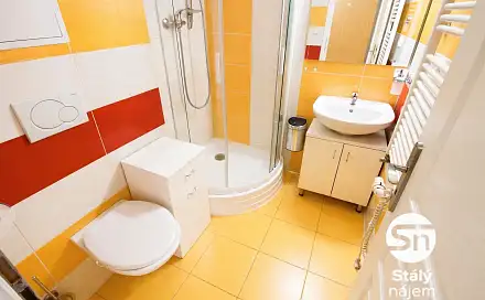 Pronájem bytu 1+kk 30 m²