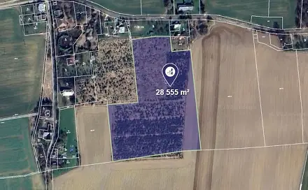 Prodej pole 28 555 m², Mikulovice, okres Jeseník