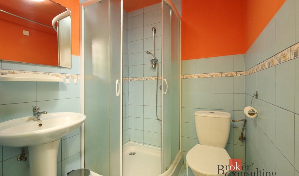 Prodej komerčního objektu (jiného typu) 640 m², Desná – náhled fotky 30