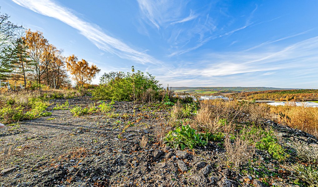 Prodej stavebního pozemku 3 180 m², Příbram – náhled fotky 2