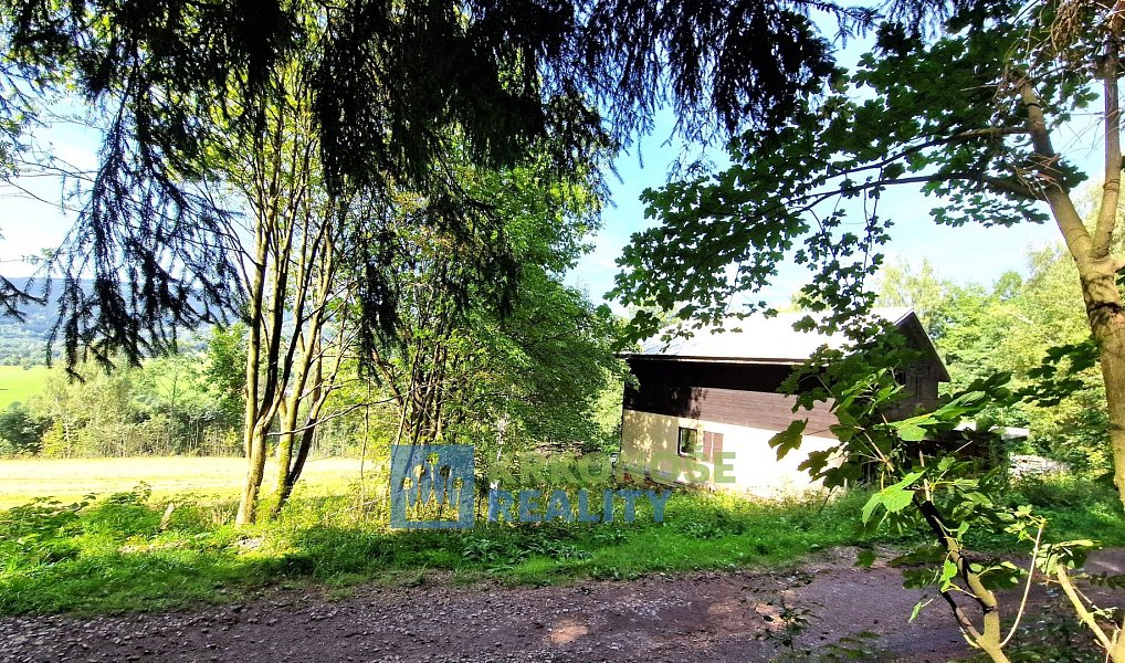 Prodej domu 320 m² s pozemkem 2 462 m², Trutnov – náhled fotky 8