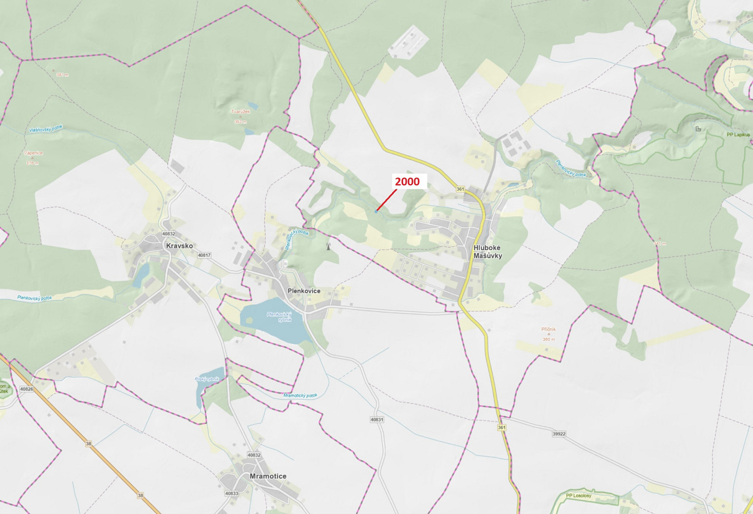 Dražba lesa 504 m²