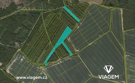 Prodej lesa 8 639 m², Komárov, okres Tábor