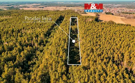 Prodej lesa 18 382 m², Olešnice, okres České Budějovice