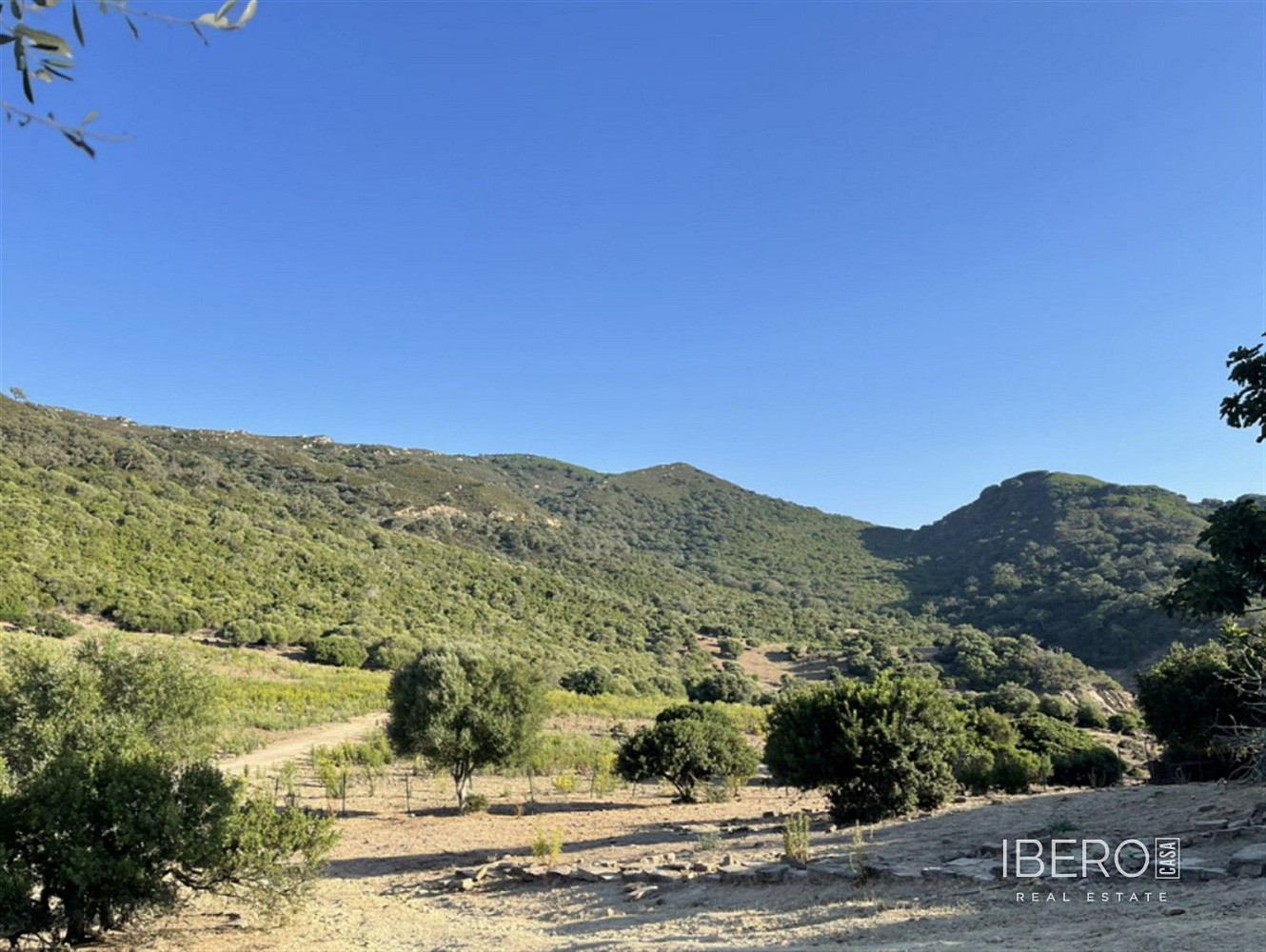 Casa 4+kk – Castellar Nuevo de la Frontera, La Almoraima - Vista 4