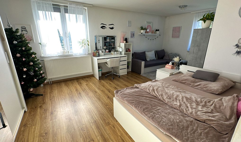 Prodej domu 300 m² s pozemkem 154 m², Tachov – náhled fotky 27