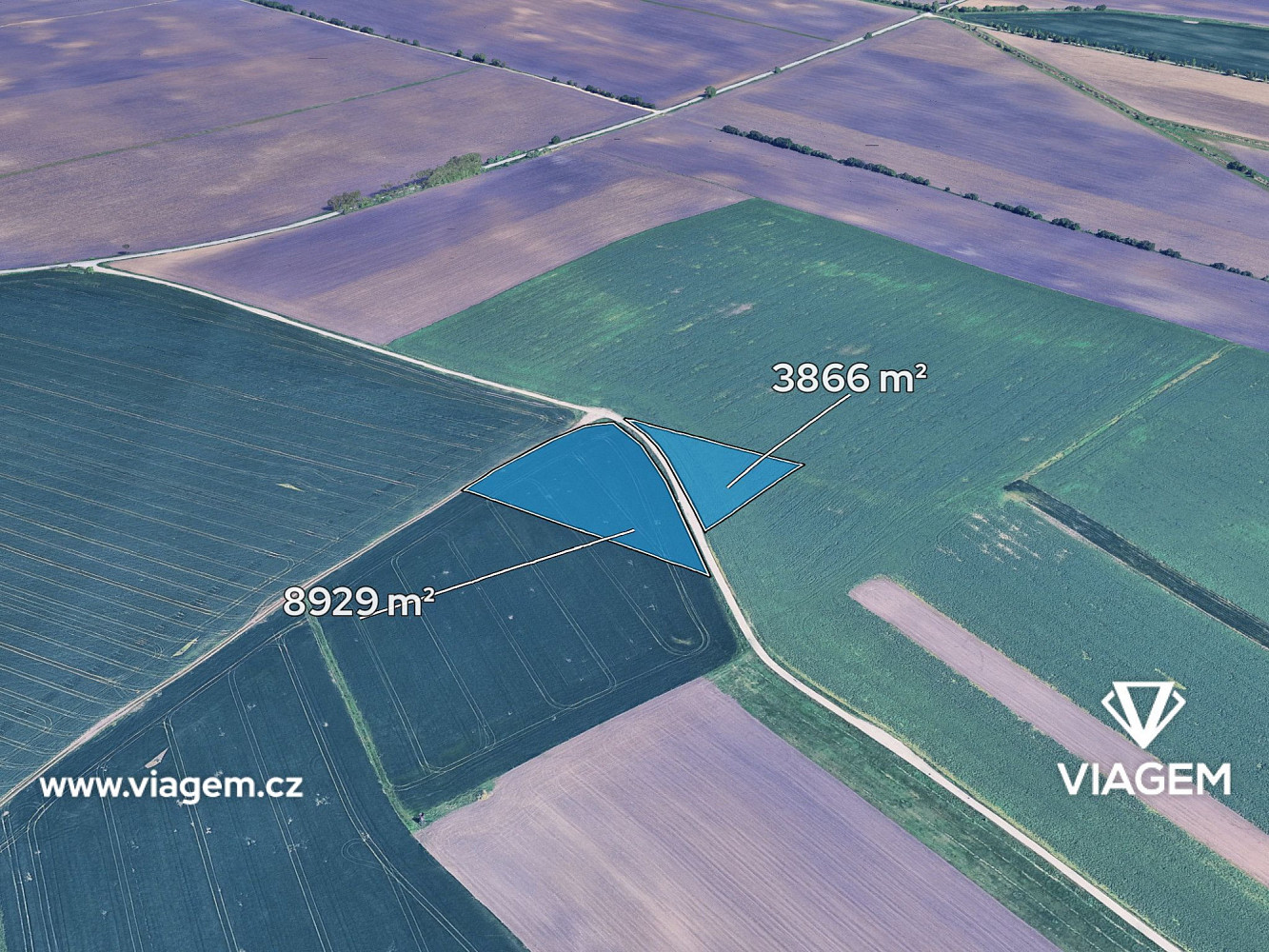 Prodej pole 2 132 m²
