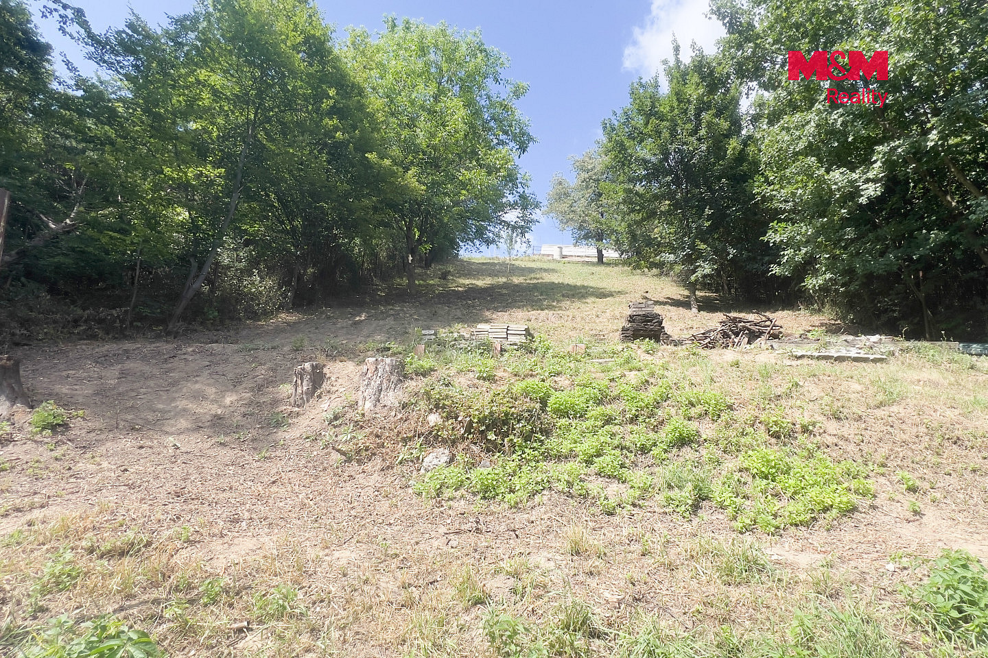 Prodej zahrady 601 m² — photo 4