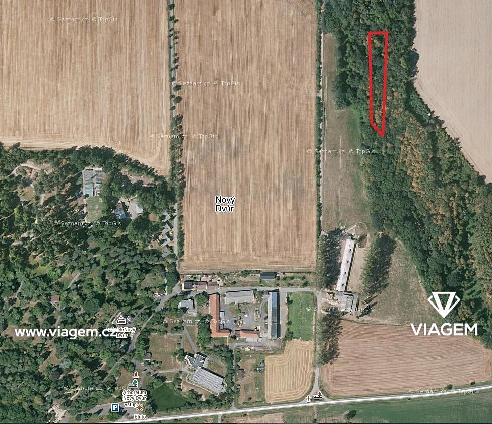 Prodej lesa 1 852 m²
