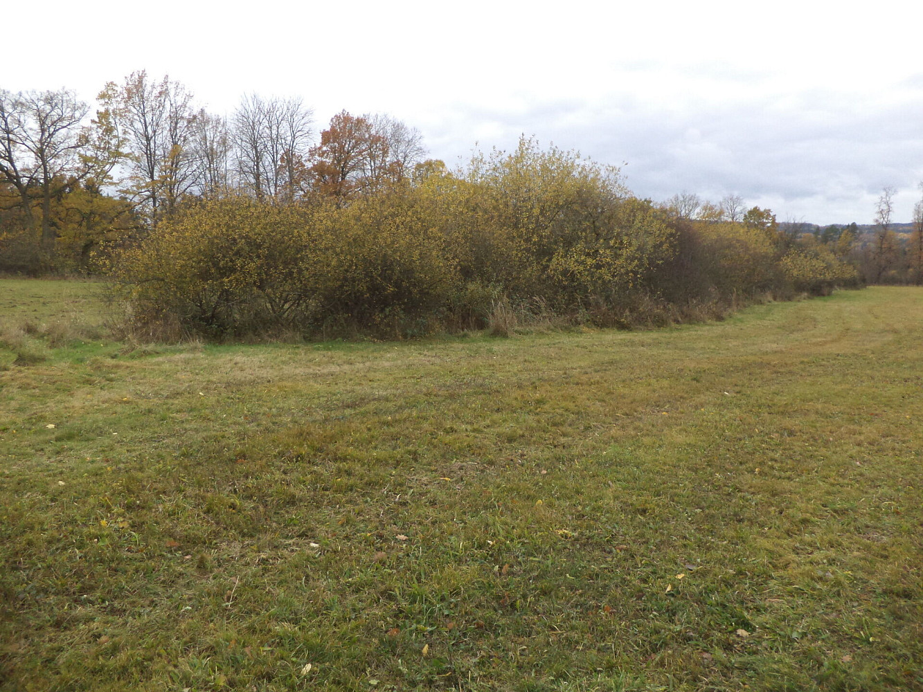 Prodej pole 26 461 m² – fotografie 2