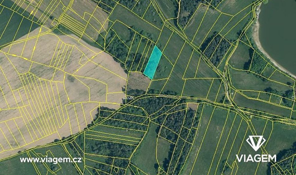 Prodej lesa 1 232 m², Chanovice – náhled fotky 3