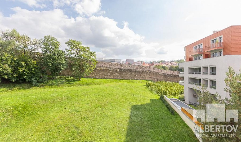 Pronájem bytu 2+kk 50 m², Praha – náhled fotky 13