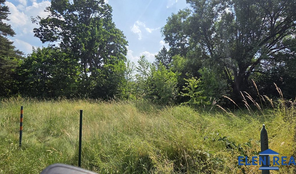 Prodej zahrady 950 m², Bělá pod Pradědem – náhled fotky 2