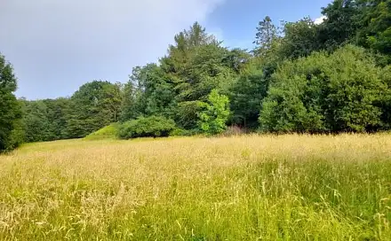 Pronájem pole 510 m², Kopřivnice, okres Nový Jičín