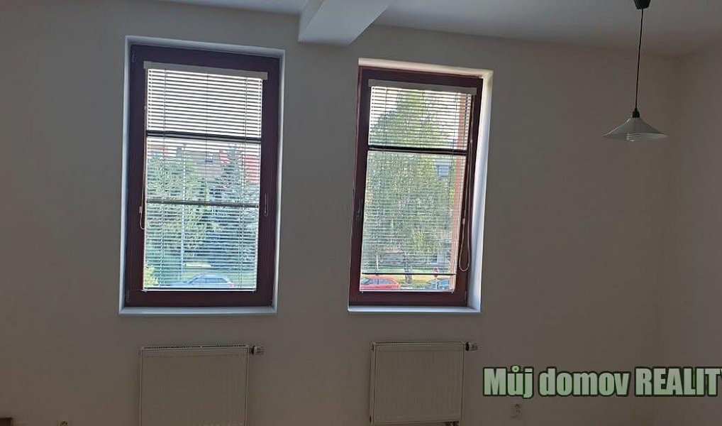 Pronájem bytu 1+kk 27 m², Praha – náhled fotky 4