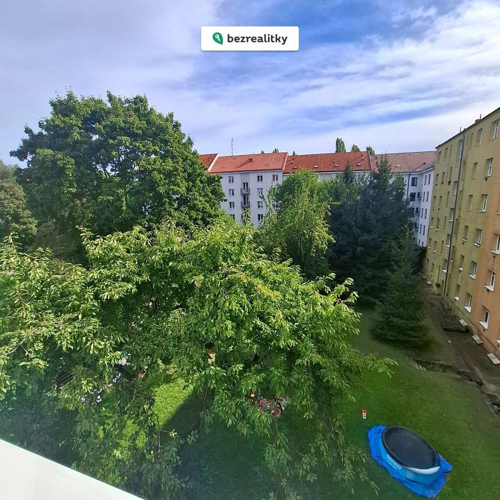 Fotka 10 z 11