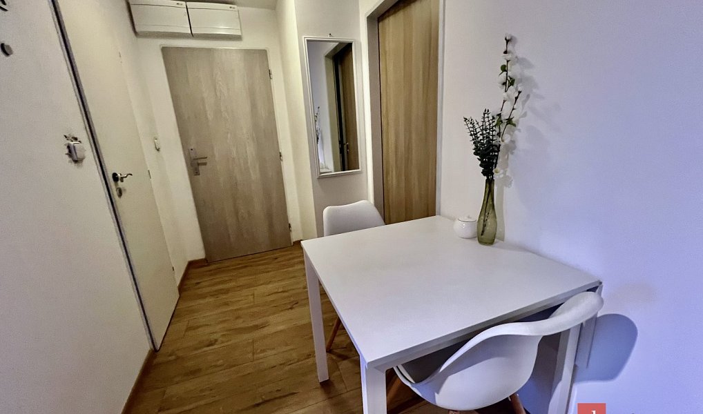 Pronájem bytu 1+1 40 m², Opava – náhled fotky 16