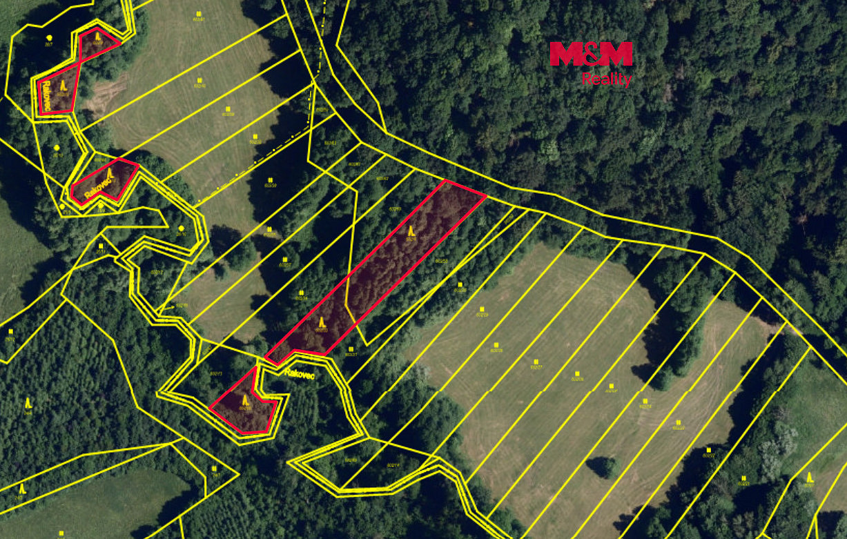 Prodej lesa 3 765 m²